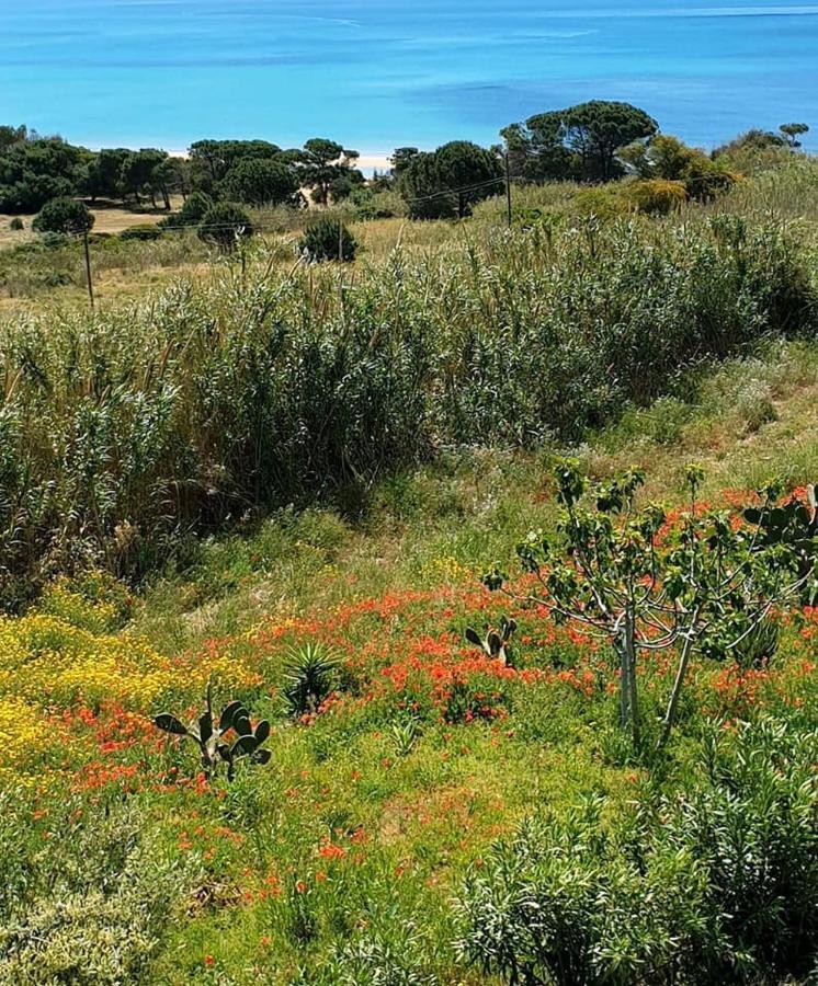 Il Canneto Di Selinunte Marinella di Selinunte Εξωτερικό φωτογραφία
