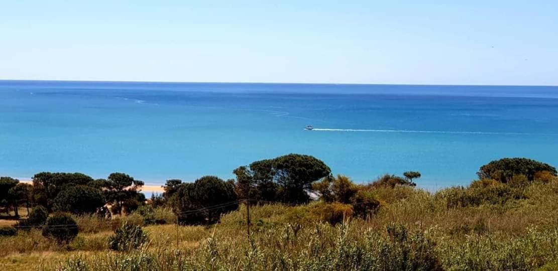 Il Canneto Di Selinunte Marinella di Selinunte Εξωτερικό φωτογραφία