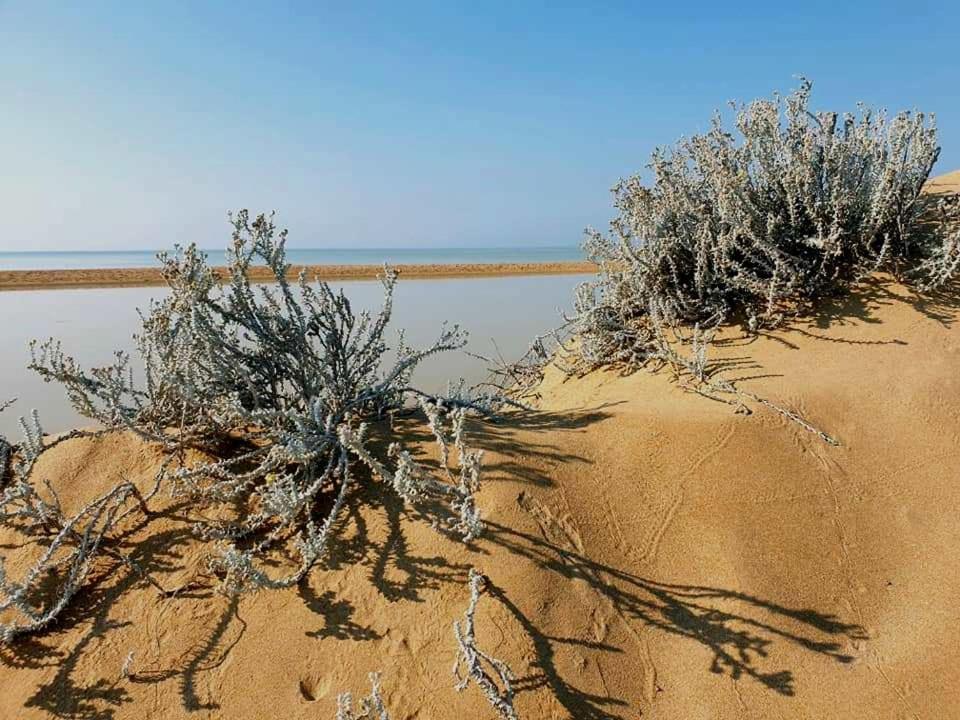 Il Canneto Di Selinunte Marinella di Selinunte Εξωτερικό φωτογραφία