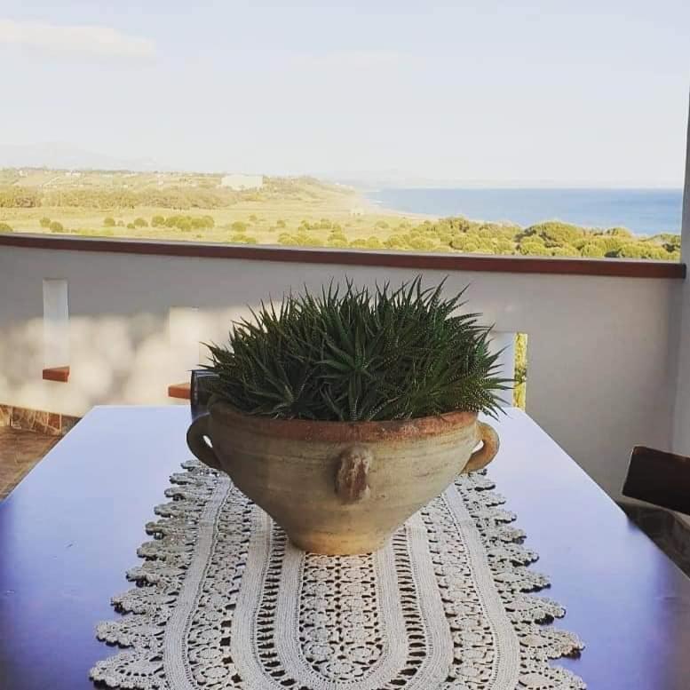 Il Canneto Di Selinunte Marinella di Selinunte Εξωτερικό φωτογραφία