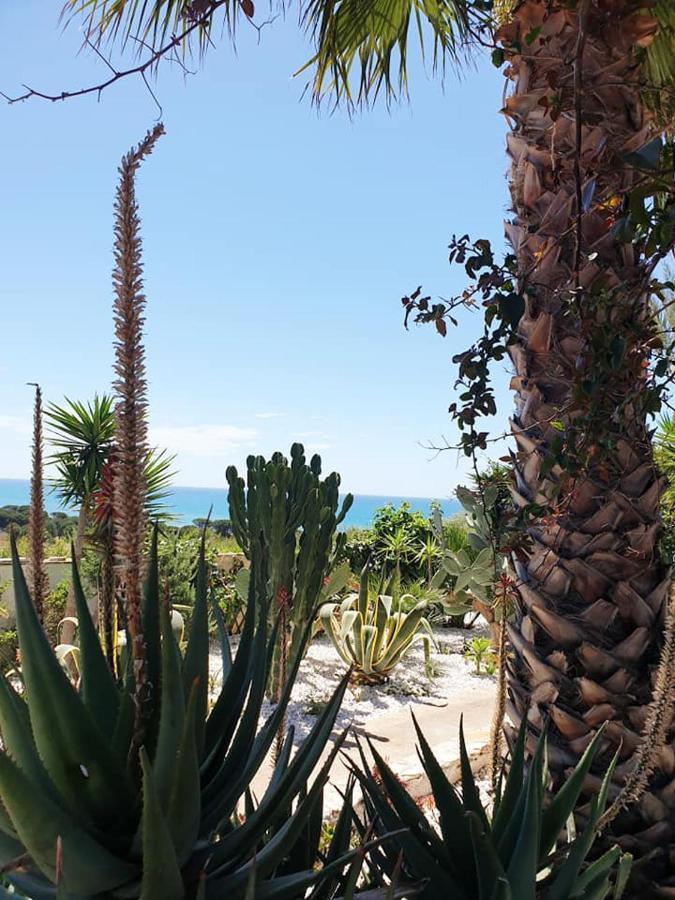 Il Canneto Di Selinunte Marinella di Selinunte Εξωτερικό φωτογραφία