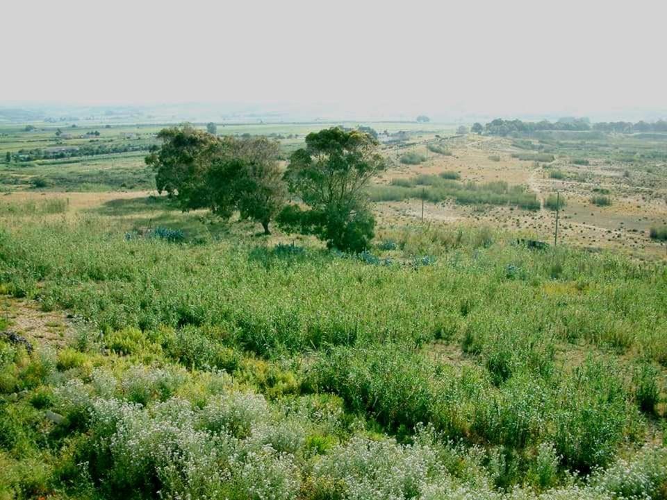 Il Canneto Di Selinunte Marinella di Selinunte Εξωτερικό φωτογραφία