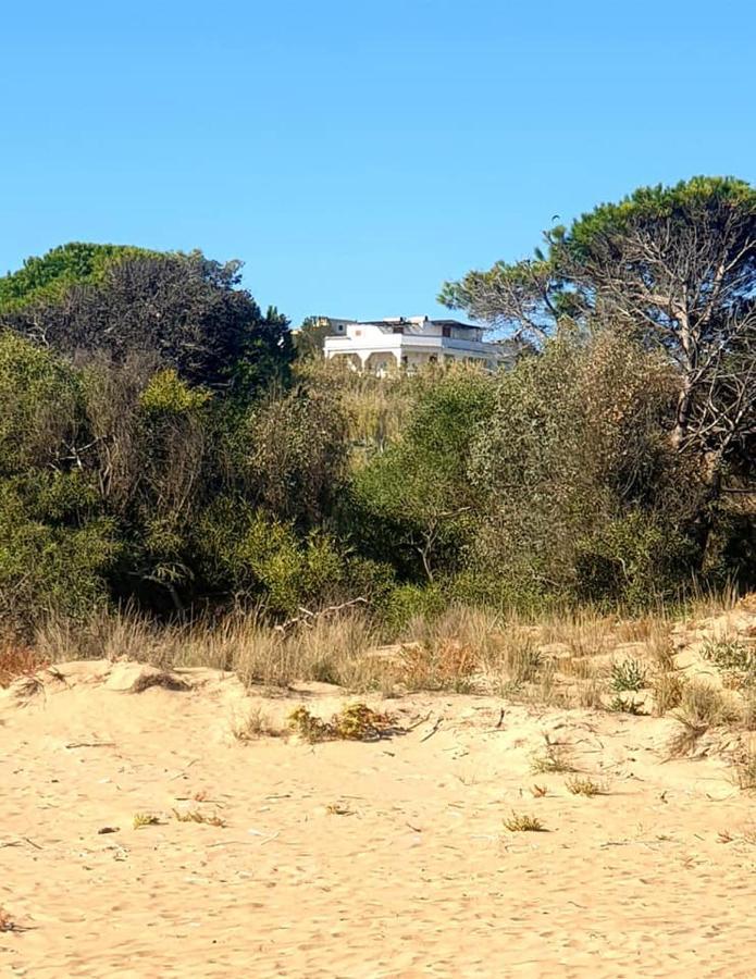 Il Canneto Di Selinunte Marinella di Selinunte Εξωτερικό φωτογραφία